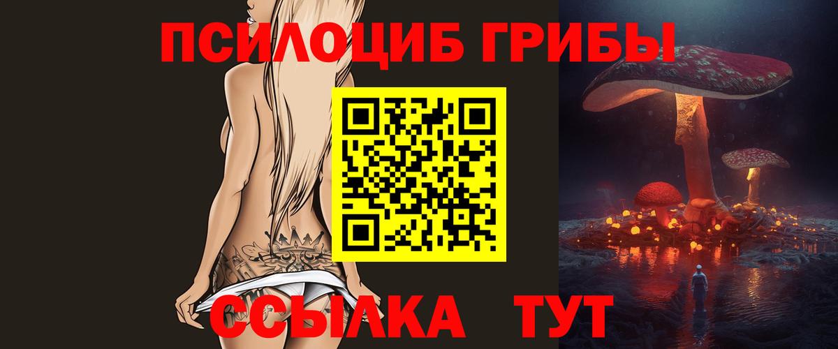 Дербент  Псилоцибиновые грибы ЛСД  Вход с VPN 